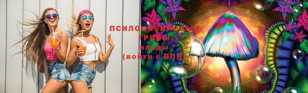 соль ск Инсар