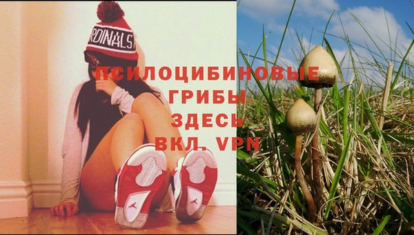 соль ск Инсар