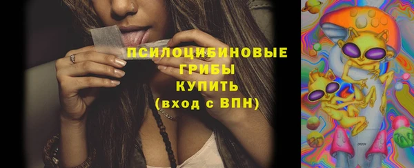mix Инта