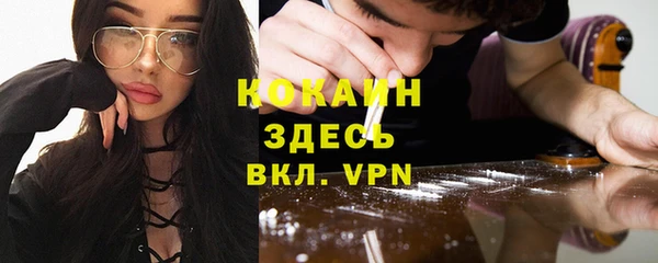 соль ск Инсар