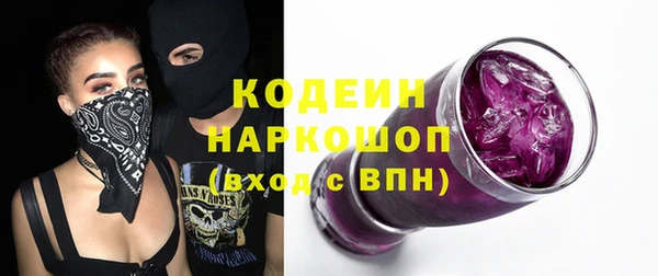 соль ск Инсар