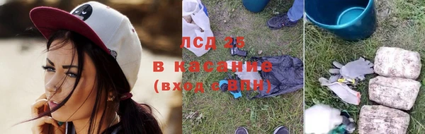 соль ск Инсар