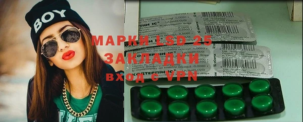 mix Инта