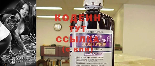 mix Инта